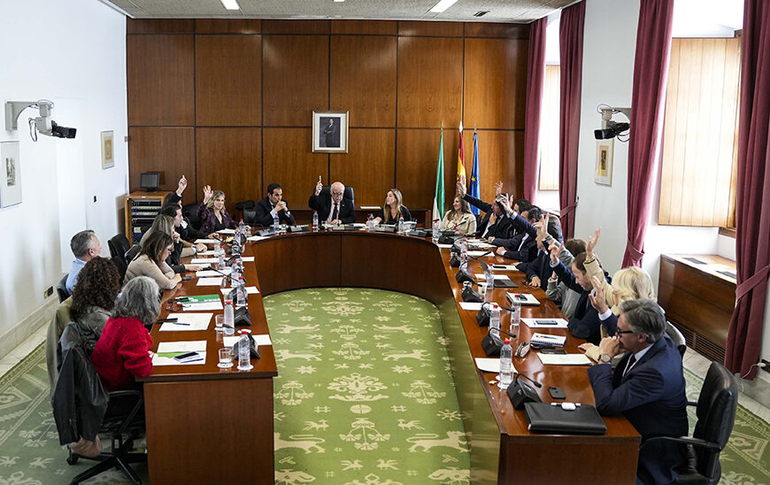 El Parlamento Ratifica el Decreto Ley para Fortalecer los Servicios Públicos tras el Pasaje de Borrascas