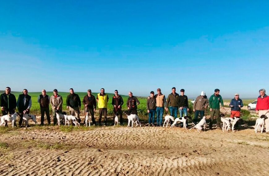 Fuentes de Andalucía: La Pasión por el Pointer se Enciende en Prueba Organizada por la Asociación Pointer de Caza y la Federación Andaluza de Caza