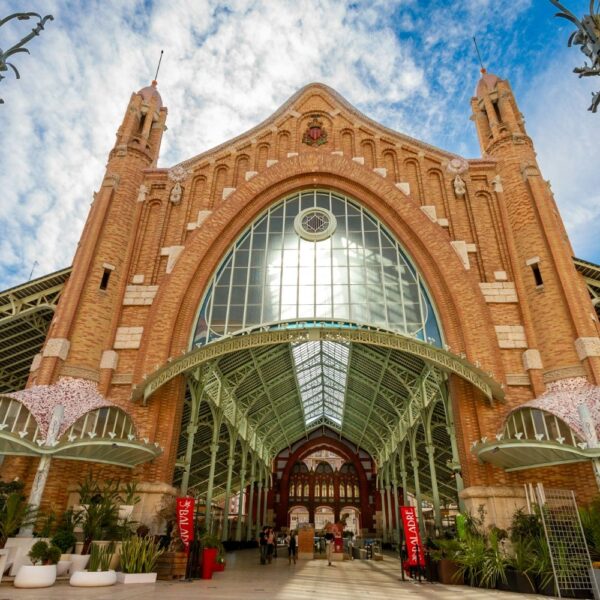 Guía Completa: Cómo Encontrar la Opción Ideal