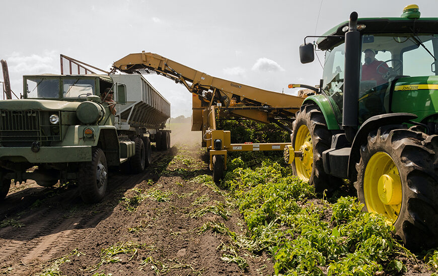 Implementación de Nuevas Medidas de Apoyo para Productores Agrarios Afectados por el Tren de Borrascas