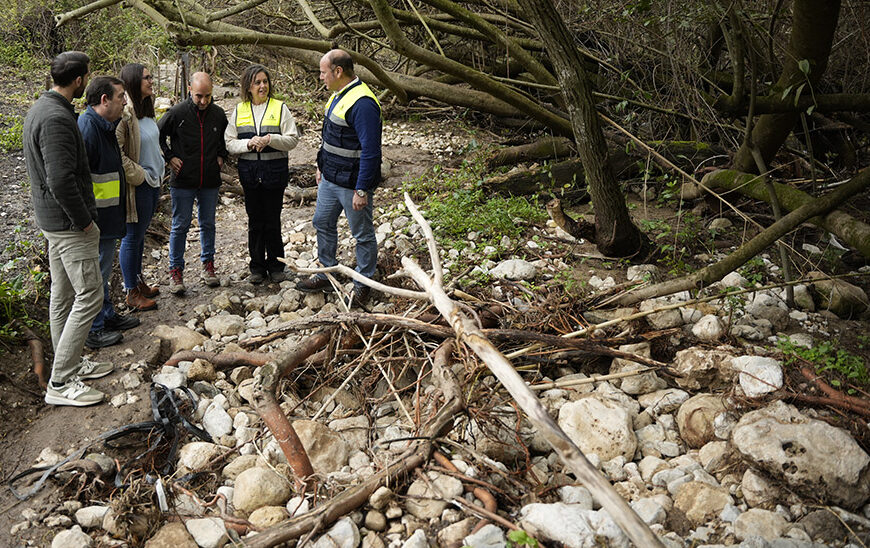 Inicio de Obras de Recuperación en el Parque Natural Sierra de Grazalema tras Borrascas, Anunciado por la Junta