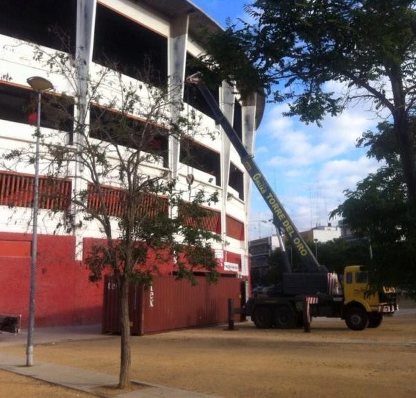 Grúas Torre del Oro: Líder en Elevación con Soluciones Especializadas para Grandes Montajes
