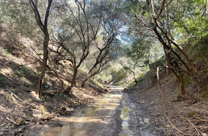 Javier Vidal inspecciona los daños ocasionados por el temporal en la Vía Verde de la Sierra