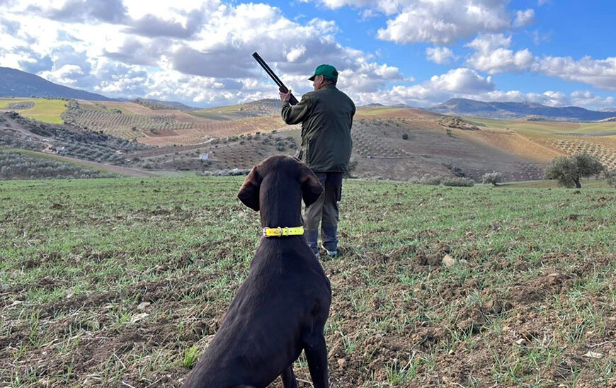 Junta Aprueba Decreto Ley para Implementar Licencia Interautonómica de Caza y Pesca