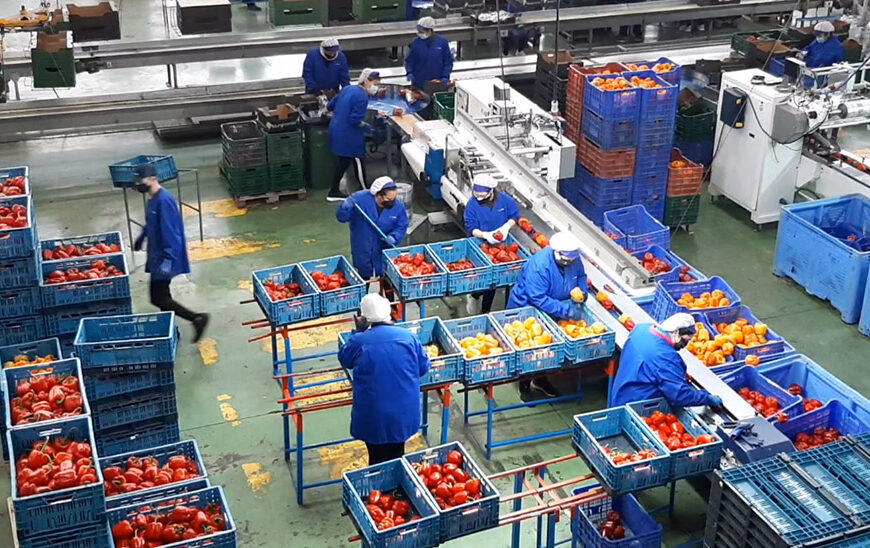 La Junta Culmina el Programa de Desarrollo Rural con Inversión Récord de 3.347 Millones y Ejecución Excepcional