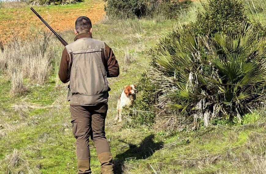 La Junta Publica Decreto para Simplificar Trámites y Mejorar la Seguridad Jurídica de Cazadores Andaluces