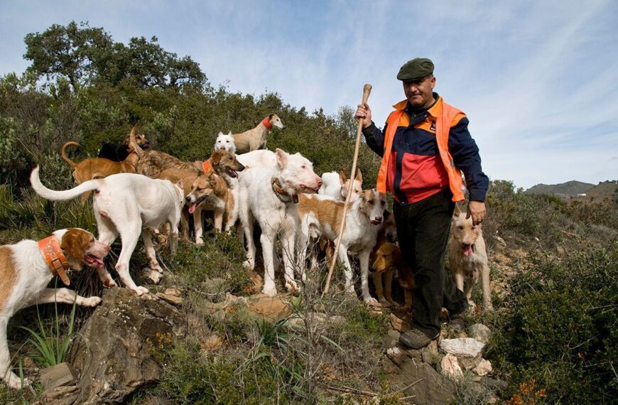 La RFEC y la Federación Andaluza de Caza Exigen Normativa Adaptada para Núcleos Zoológicos en el Contexto Cinegético y Rural