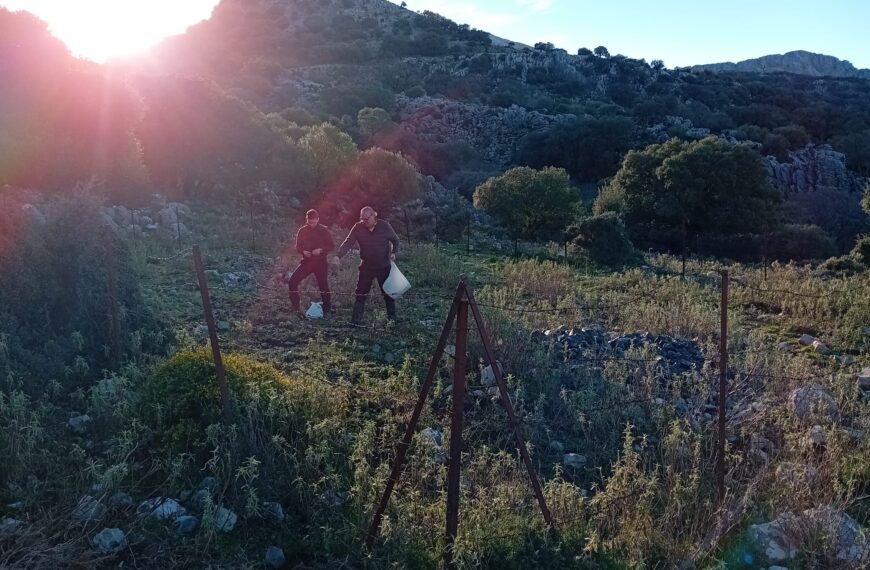 La Sociedad de Cazadores de Benaocaz Organiza Jornada de Limpieza y Mantenimiento en Entorno Natural de Cádiz – Federación Andaluza de Caza