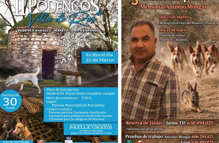 Podenqueros y Maneteros Listos para un Fin de Semana de Intensa Competencia en Rus y Vejer de la Frontera – Federación Andaluza de Caza