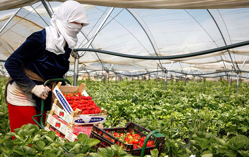 Programa de Ayudas de 3 Millones para la Integración Laboral de Personas en Riesgo de Exclusión Social