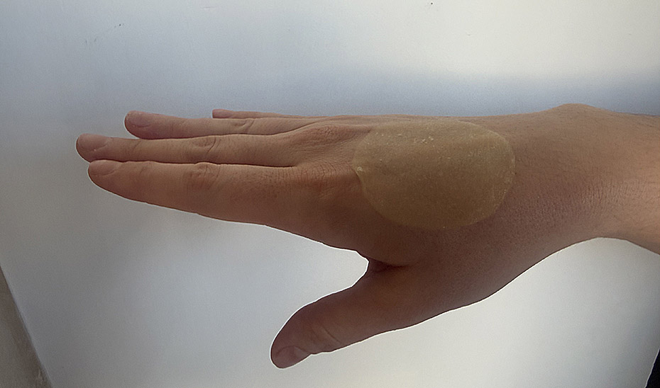 Revolucionario Vendaje de Paja y Hongo Asiático: Aceleración de Cicatrización y Combate de Infecciones 1 Revolucionario Vendaje de Paja y Hongo Asiático: Aceleración de Cicatrización y Combate de Infecciones