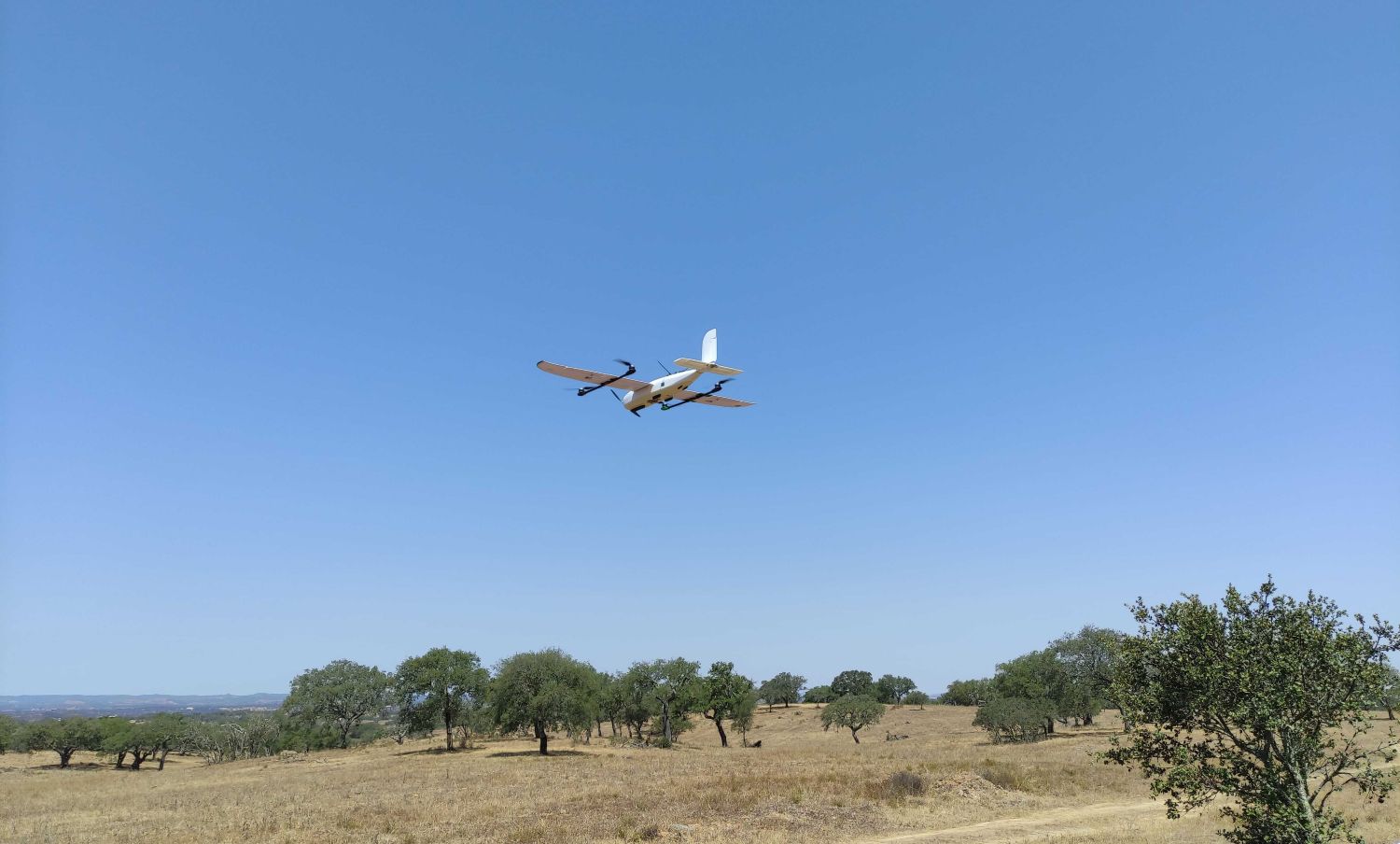 El IAS-CSIC desarrolla SILVO, un nuevo modelo 3D para mejorar el análisis de ecosistemas agroforestales 1 Toma de datos Ecosistema heterogeno 1