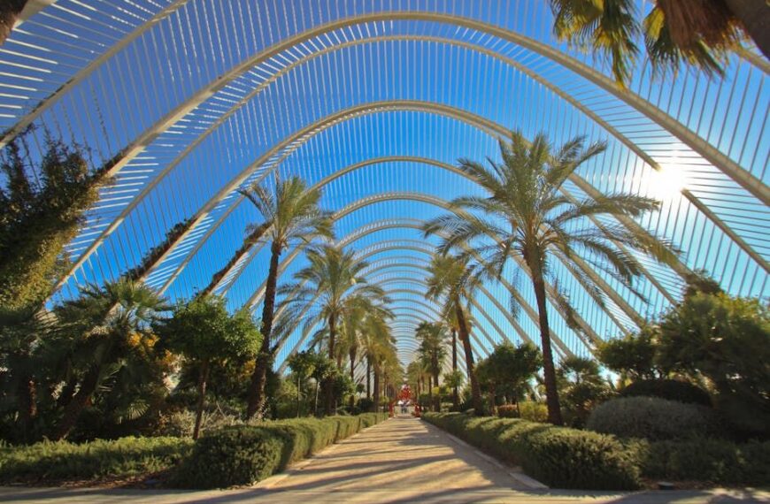 Valencia: Destino Saludable Líder en España Según Informe de Altezza Travel