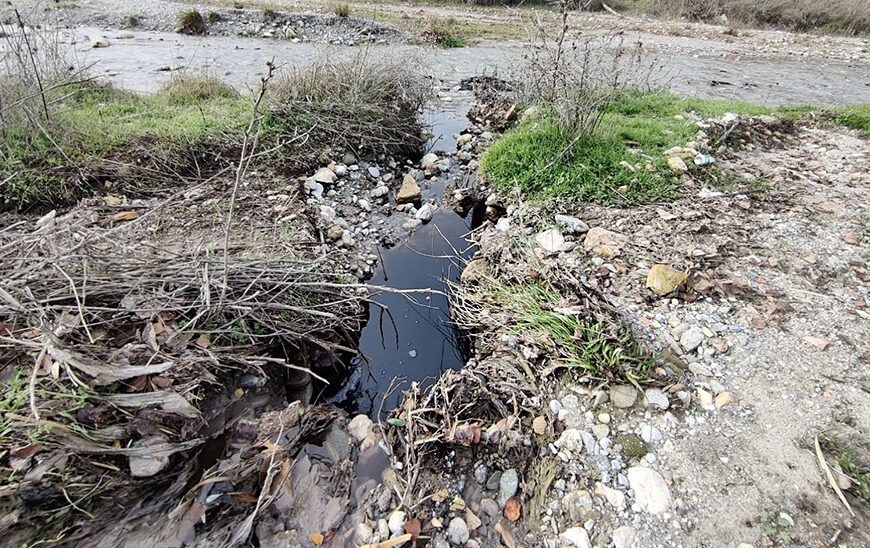 Investigación de la Policía Adscrita a Dos Personas por Presunto Delito Ambiental