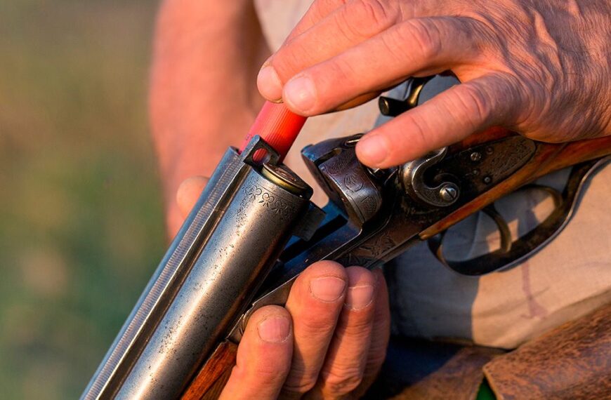 La Comisión Europea Ignora al Sector Cinegético y Propone Prohibir la Munición de Plomo en Cinco Años – Federación Andaluza de Caza