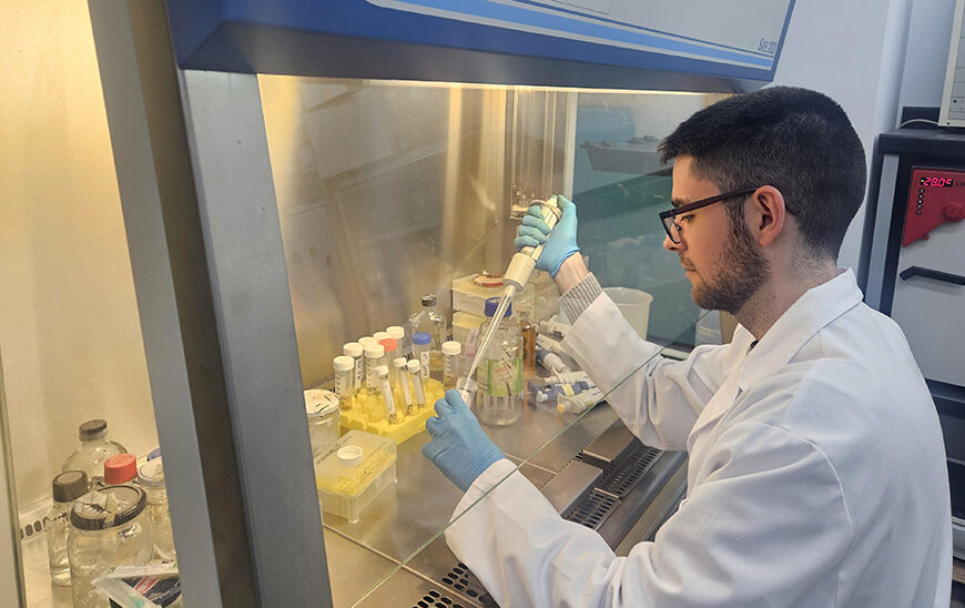Revolución Verde en Andalucía: Producción de Hidrógeno con Bacterias y Residuos de Biodiésel
