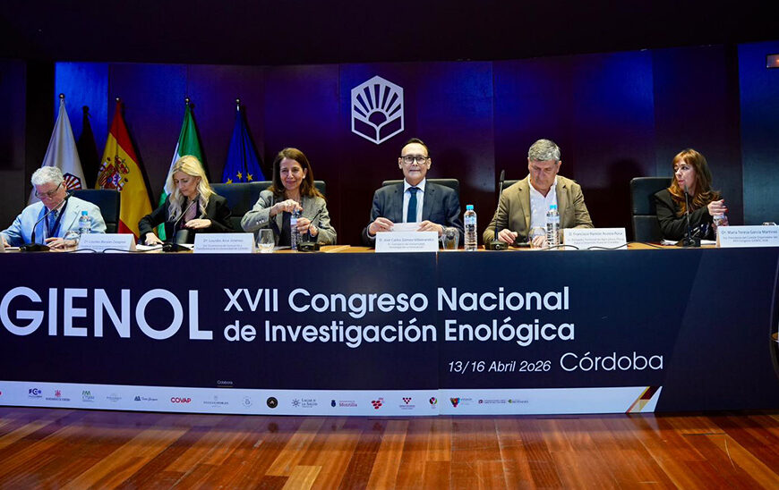 Veinte Grupos Pioneros: La Investigación del Vino en Andalucía