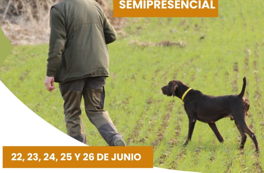 Curso Semipresencial de Caza en Junio: Inscripciones Abiertas del 22 al 26 - Federación Andaluza de Caza