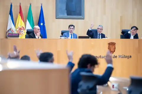 20052026 Pleno Diputacion 1