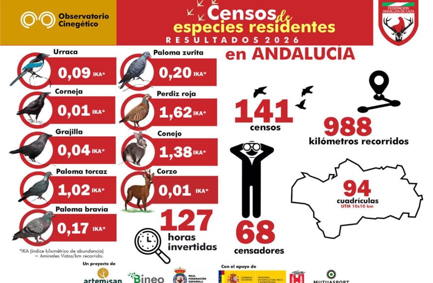 La población de perdiz roja se recupera por segundo año tras la sequía, según la Federación Andaluza de Caza