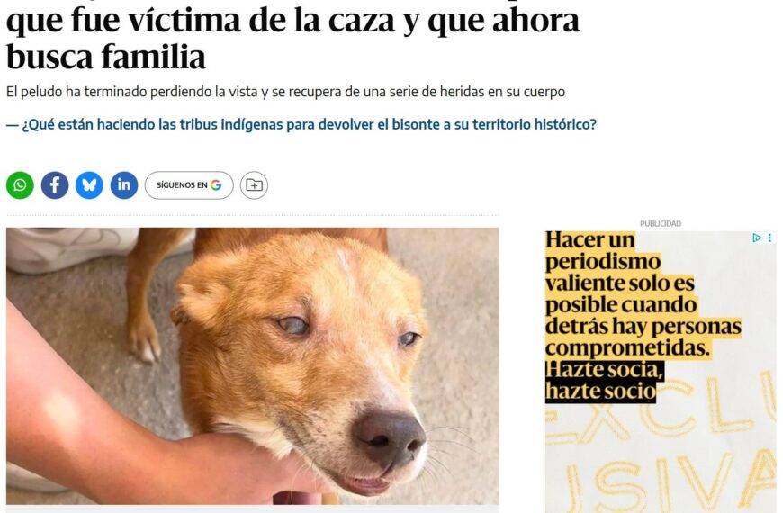 elDiario.es critica la caza utilizando una publicación de Instagram sin verificación, según la Federación Andaluza de Caza