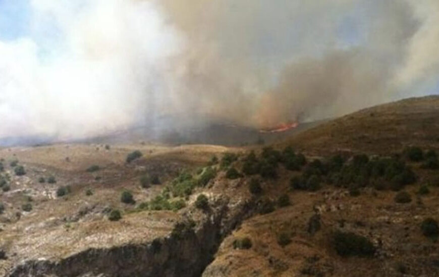 Identificados los Responsables del Incendio en el Paraje Portugalejo por la Policía Adscrita