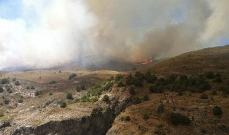 Identificados los Responsables del Incendio en el Paraje Portugalejo por la Policía Adscrita 1 Identificados los Responsables del Incendio en el Paraje Portugalejo por la Policía Adscrita
