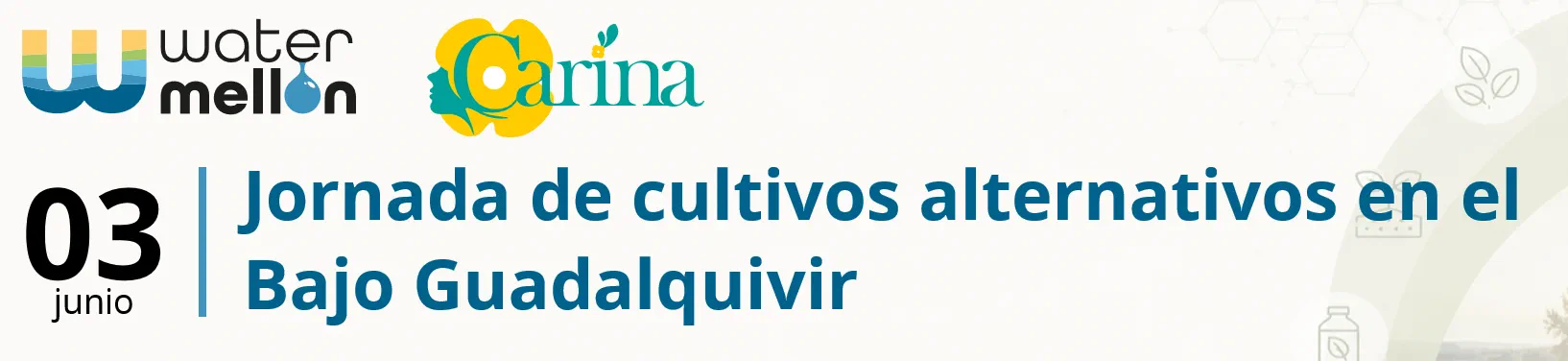 Jornada sobre Cultivos Alternativos en el Bajo Guadalquivir 1 Jornada sobre Cultivos Alternativos en el Bajo Guadalquivir