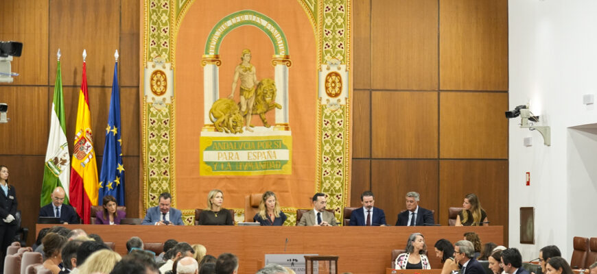 Ana Mestre preside el Pleno del Parlamento