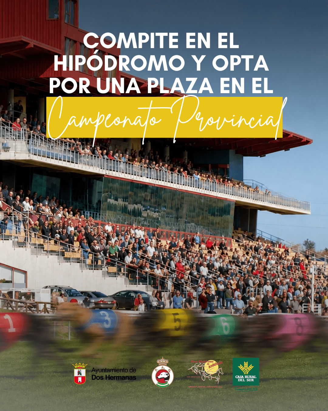 Compite en el Hipódromo y Gana una Plaza para el Campeonato Provincial 1 Compite en el Hipódromo y Gana una Plaza para el Campeonato Provincial