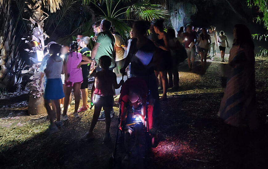 Disfruta las Noches de Verano: Diversión Familiar en el Parque