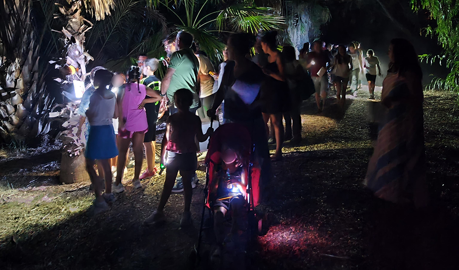 Disfruta las Noches de Verano: Diversión Familiar en el Parque 1 Disfruta las Noches de Verano: Diversión Familiar en el Parque