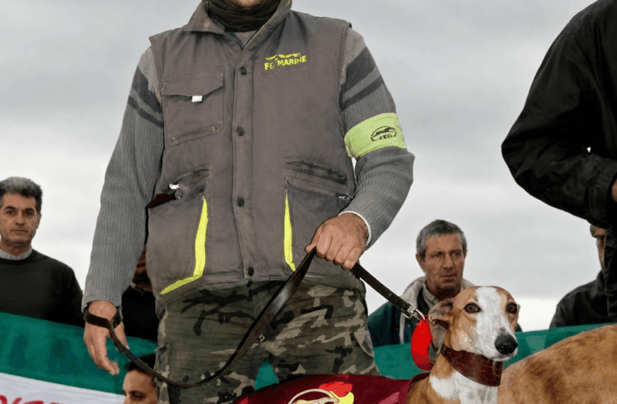 Don David Cordero Ganfornina, propietario de Galga