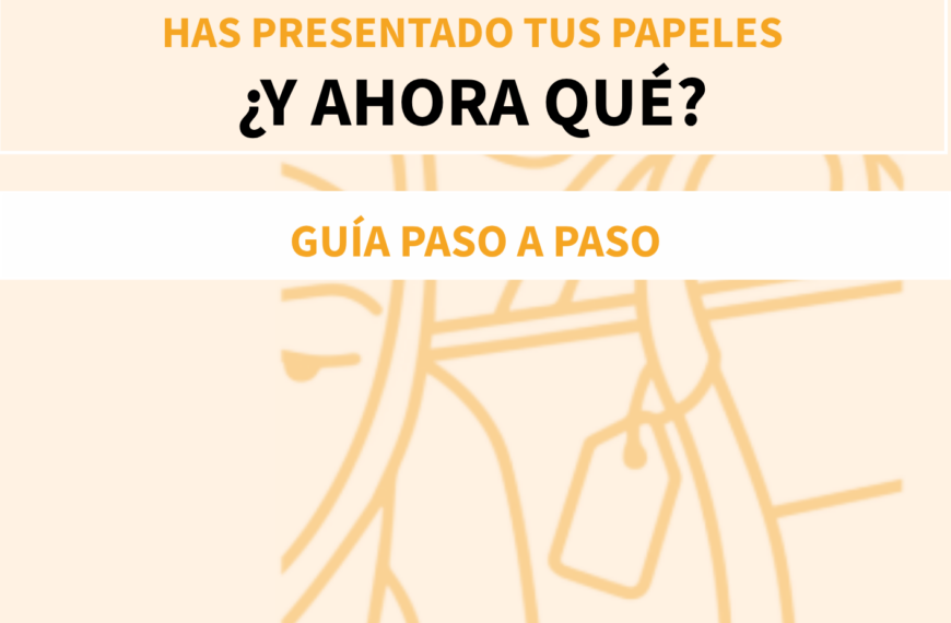 Guía práctica: Próximos pasos tras presentar tu solicitud de regularización - Federación Sur Acoge