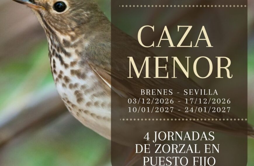 IV Jornadas de Zorzal Puesto Fijo en Brenes organizadas por la Sociedad Deportiva de Caza San Sebastián y la Federación Andaluza de Caza