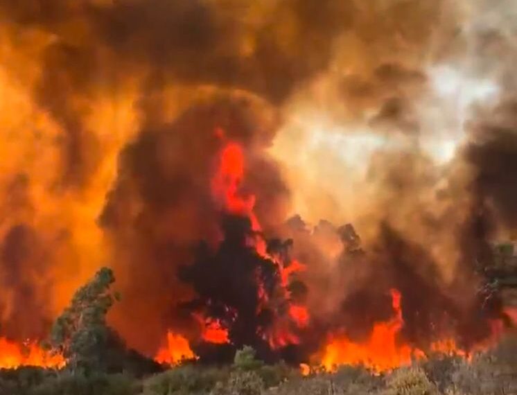 La FAC Manifiesta su Solidaridad con la Peña Jabatera "Los Cruceños" Afectada por el Incendio en Ándevalo Onubense