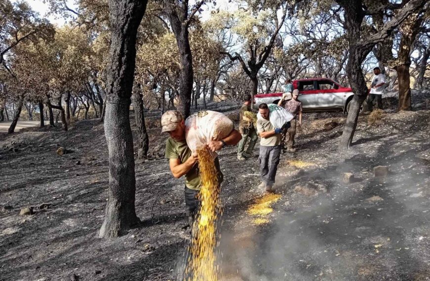 Las Sociedades de Caza de la Sierra de Cádiz Donan Más de 2.000 Kg de Comida a la Sociedad de Caza 'El Pinzapo' de Grazalema – Federación Andaluza de Caza