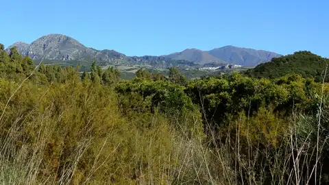 2. Sierra Crestellina, Casares y Los Reales de Sierra Bermeja al fondo