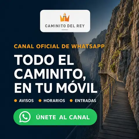 Whatsapp caminito