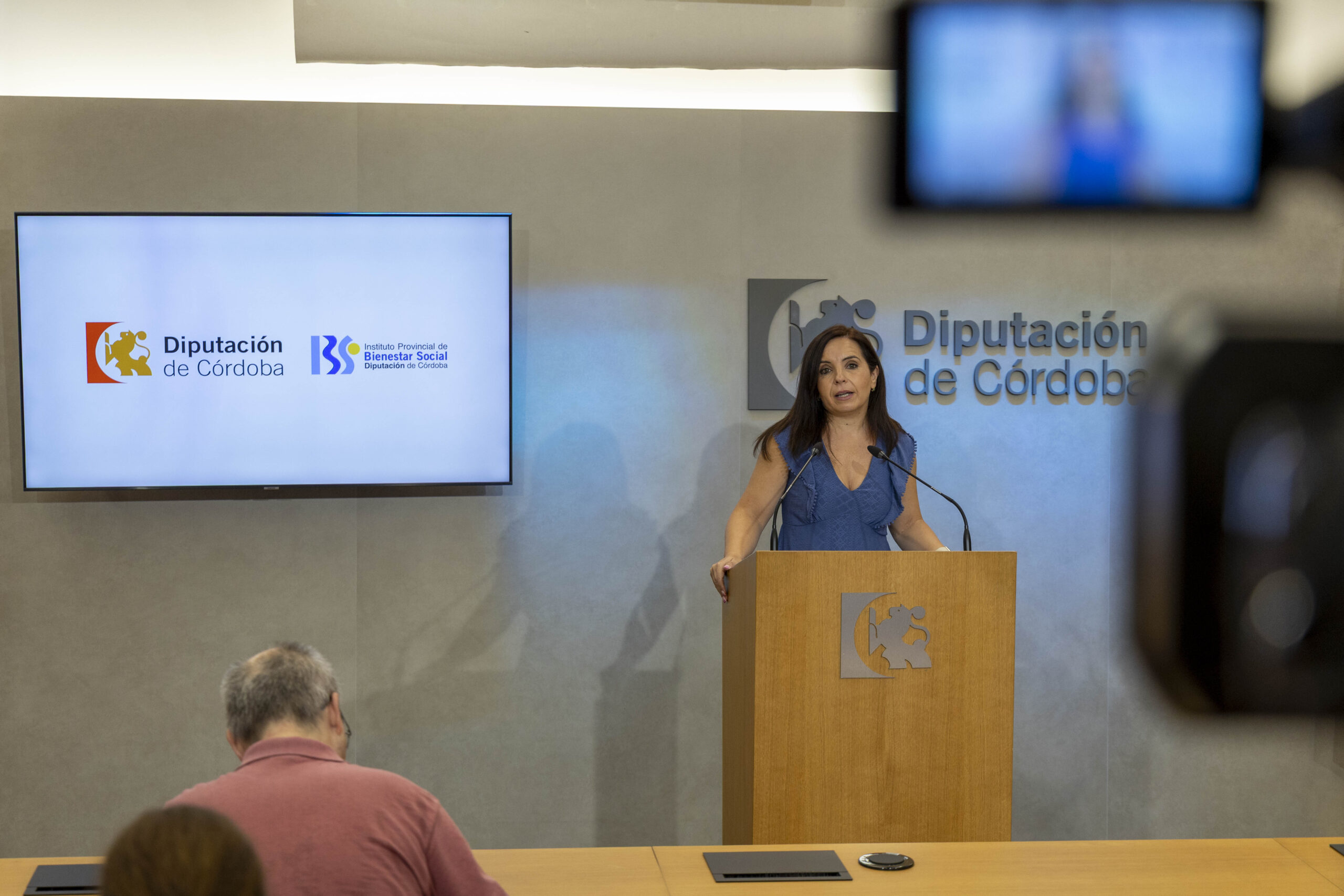 La Diputación destina 46 millones de euros a los ayuntamientos de la provincia para el Servicio de Ayuda a Domicilio en el primer semestre 1 La Diputación destina 46 millones de euros a los ayuntamientos de la provincia para el Servicio de Ayuda a Domicilio en el primer semestre