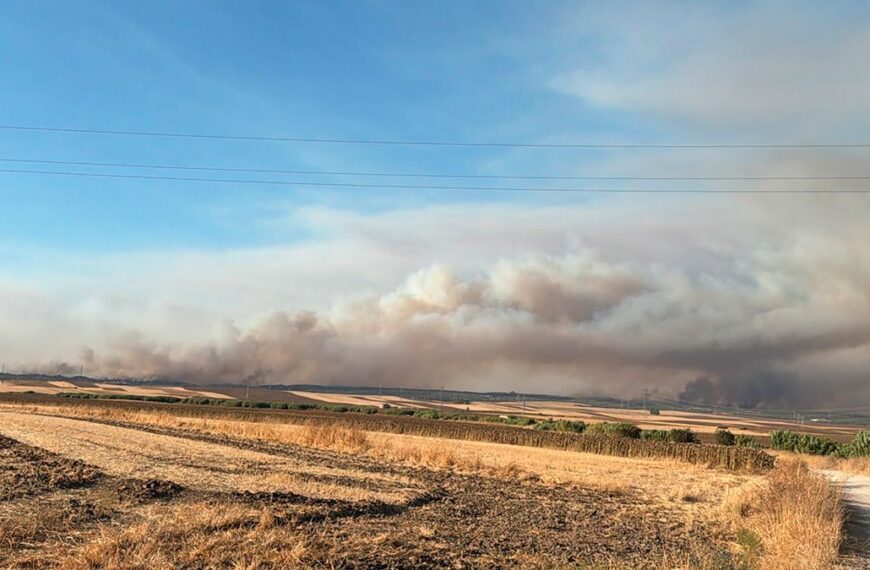 La FAC Donará Tres Toneladas de Grano a Sociedades de Caza Afectadas por Incendio en Niebla