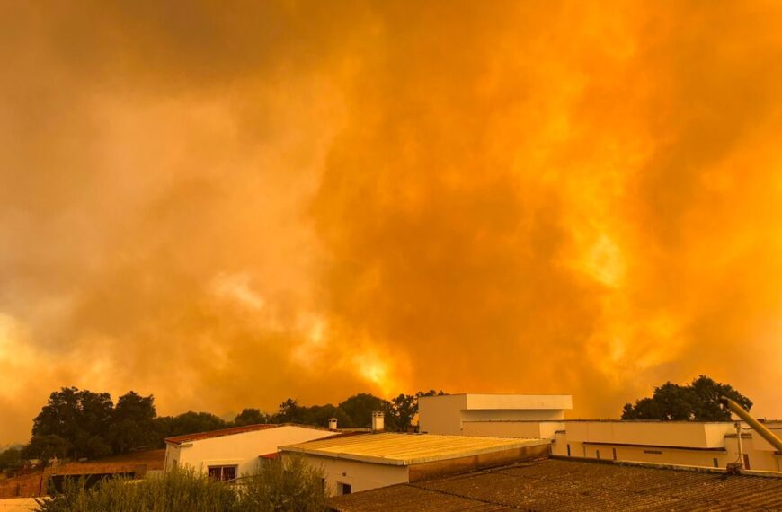 La FAC Invita a los Cazadores a Participar en el Sorteo Benéfico para Recuperar los Cotos Afectados por el Incendio de Niebla