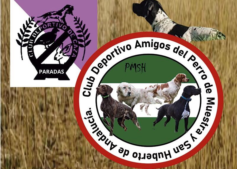 Paradas acogerá la II Prueba de Verano para Perros de Muestra del Club de Amigos de San Huberto de Andalucía el 5 de septiembre
