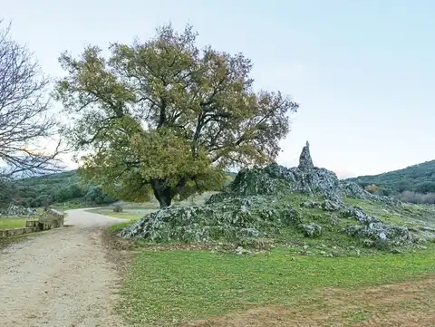 Abrevadero de Conejeras