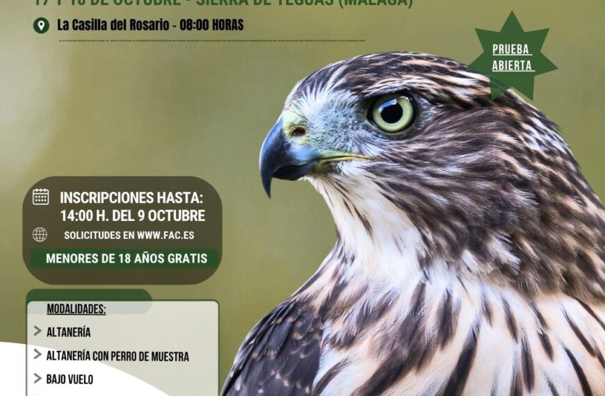 El Campeonato Andaluz de Cetrería 2026 comienza este fin de semana en Sierra de Yeguas